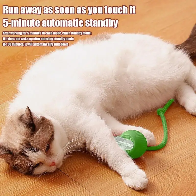 Sa0d89a067e3747d2931bf753a508acb7q.webp